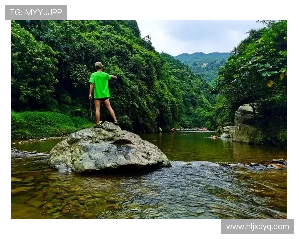 从惊险一跃到完美入水探秘跳水运动背后的力量与艺术 从惊险一跃到完美入水探秘跳水运动背后的力量与艺术