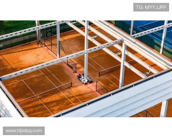 从草地到红土网球场上的速度与技巧全面解析