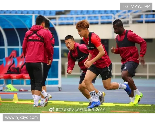 北京篮球队团队协作引发热议球迷对战术配合和球员默契提出不同看法