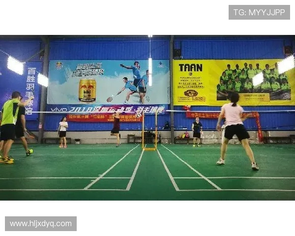 深圳羽毛球队技术解析:从基础训练到比赛策略的全面探讨 深圳羽毛球队技术解析:从基础训练到比赛策略的全面探讨