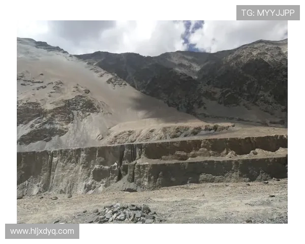 深度探讨杨强在英雄联盟中的成长与挑战之路 深度探讨杨强在英雄联盟中的成长与挑战之路